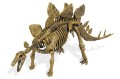 CL189K_geoworld_jajo_dinozaura_stegozaur_2.jpg