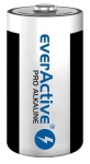 EVLR20-PRO Baterie alkaliczne D / LR20 everActive Pro