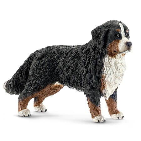 pol_pl_16397_Schleich_Berneńczyk_suczka.jpg