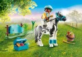 Sammelpony 'Lewitzer'.jpg