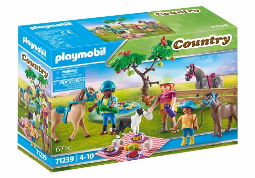 6e-playmobil--174-country-71.jpg