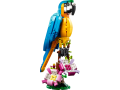 31136_prod.png