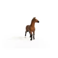 13945_oldenburg_mare_01.webp