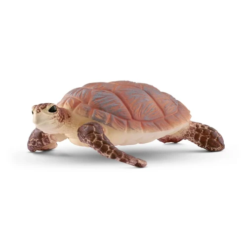 14876_main_v24_tp.webp
