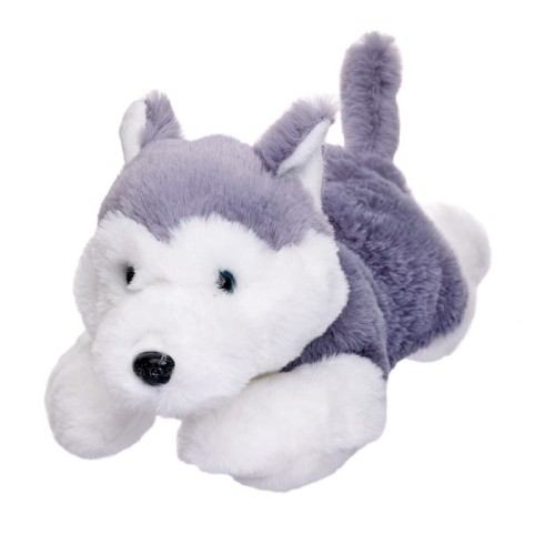 beppe-14080-pies-husky-lezacy.jpg