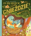 co-sie-kryje-w-gniezdzie-fascynujace-ciekawostki-o-ptakach-b-iext177216448.webp