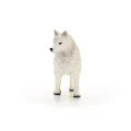 14880_front.webp