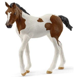 14899 Schleich Horse Club - Źrebak rasy Paint Horse