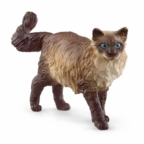 schleich-rasa-ragdoll-kot-13940.webp