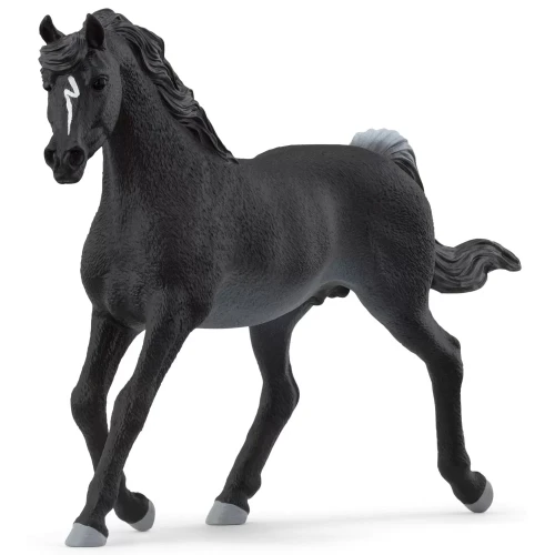 schleich-horse-club-rasa-czysta-krew-arabska-ogier-13981.webp