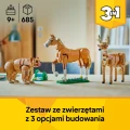 5.webp