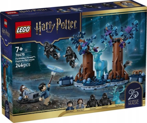 LEGO-R-HARRY-POTTER-76475-ZAKAZANY-LAS.jpg