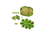 02950_150_02.webp