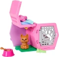 980cb7fa-3f63-4d15-bede-3580834ef027_i-barbie-chelsea-transporter-dla-pieska-zestaw-mala-lalka-blondynka-i-akcesoria-z-motywem-zabawy-z-pieskiem-jdf89.webp