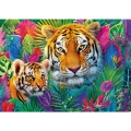 37625_150_02.webp