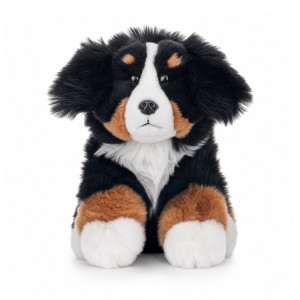 14285 Beppe - Pies berneński 23 cm
