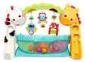 CCB70_Fisher_Price_przyrzad_gimnastyczny_3_w_1_3.jpg