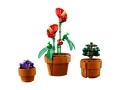 lego-icons-10329-male-roslinki-3.webp