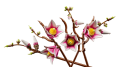 bltf1012114bd36e2ac-11510_WEB_SEC01_NOBG.png