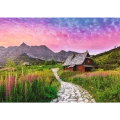 37555_150_02.webp