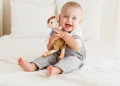 122.webp