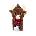 11.webp