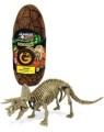 CL190K_jajo_dinozaura_triceratops_geoworld_2.jpg